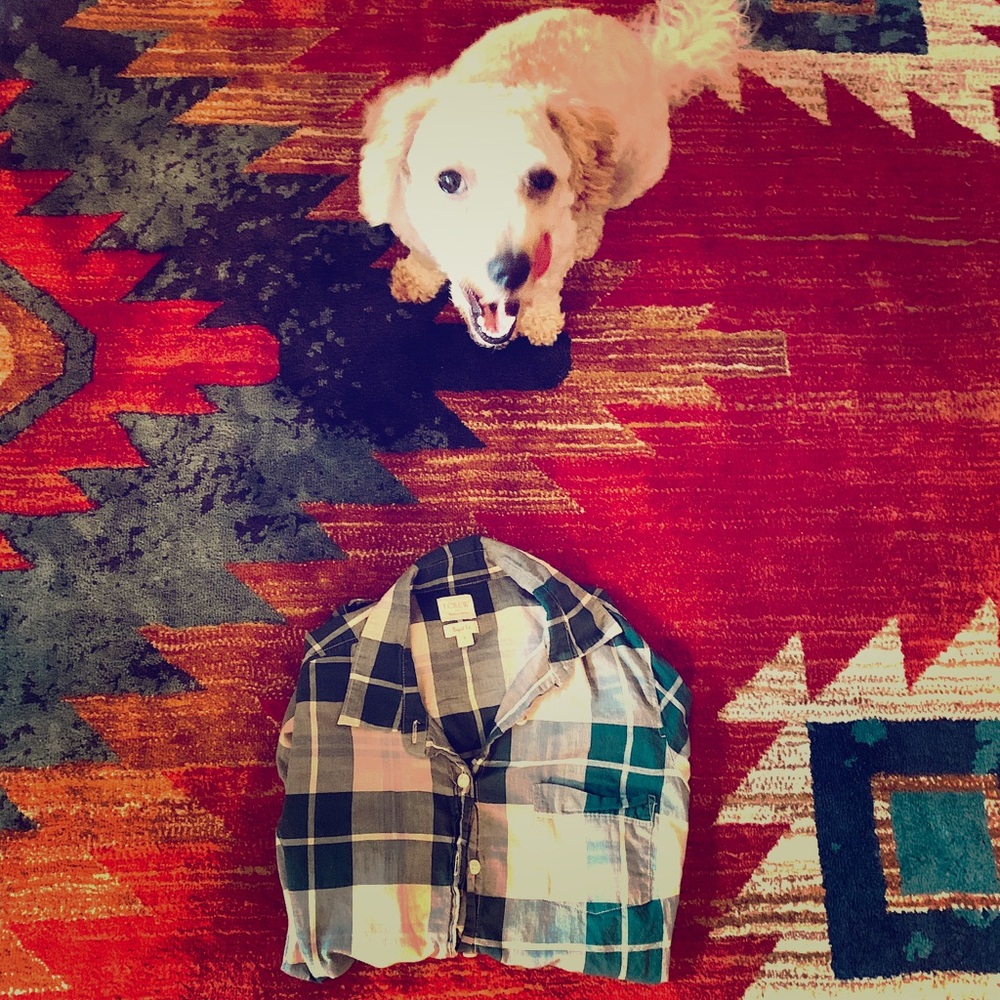 J. Crew Button Up